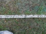image of grave number 417160